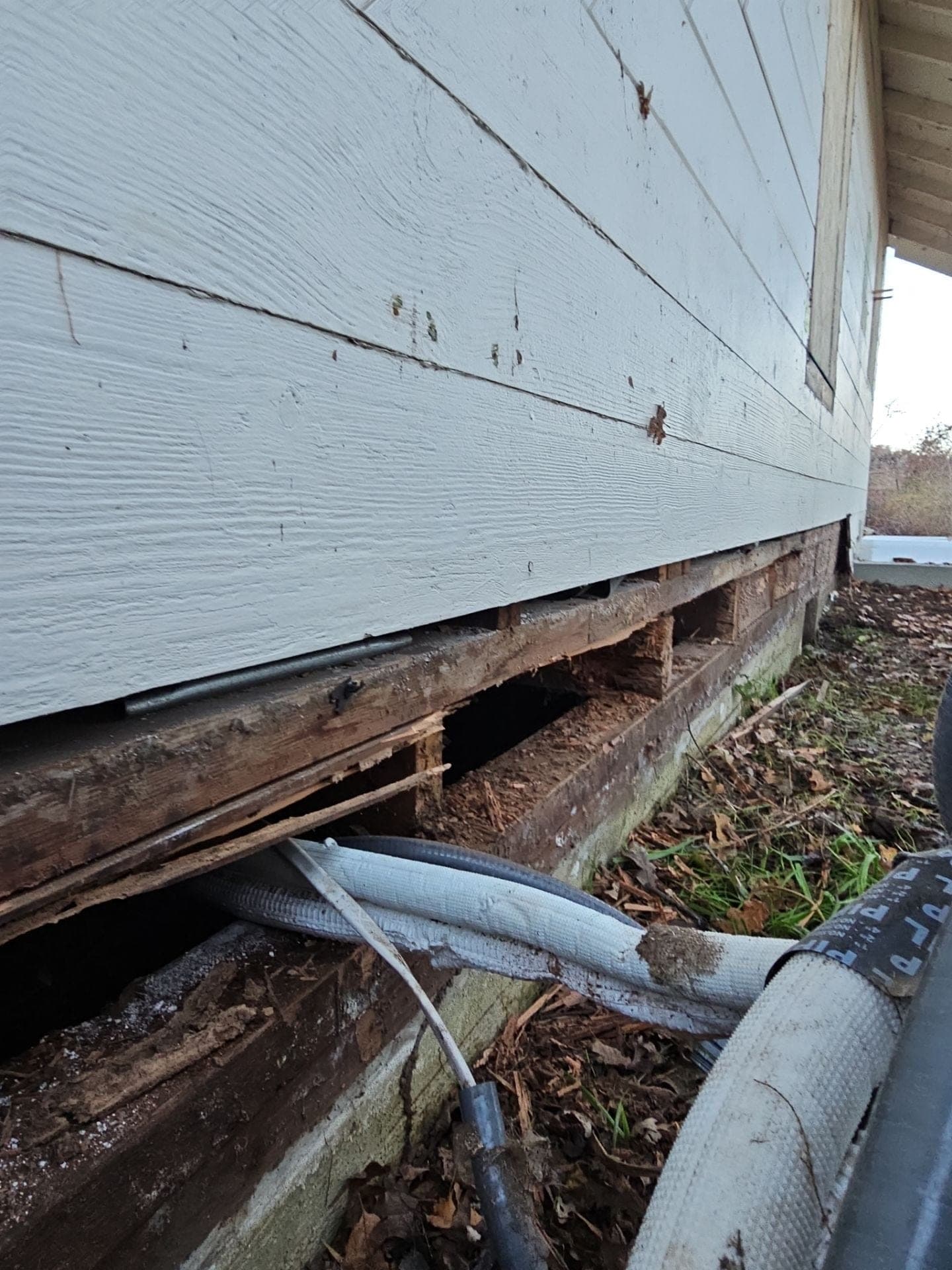 Rotted sill plate and rim joist exposed beneath painted lap siding at 5160 Burke Hill Rd, the deteriorated condition RLS Custom Carpentry repaired in Mendocino County, CA